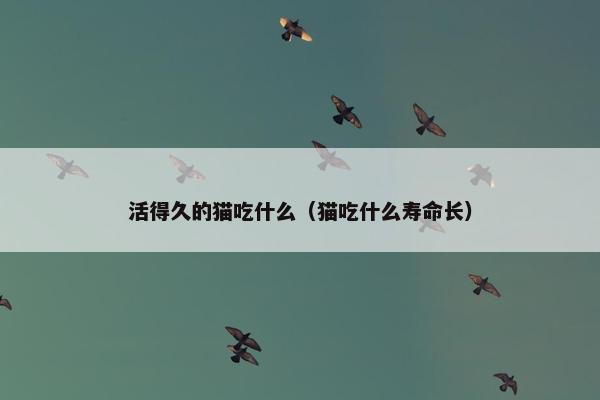 活得久的猫吃什么（猫吃什么寿命长）