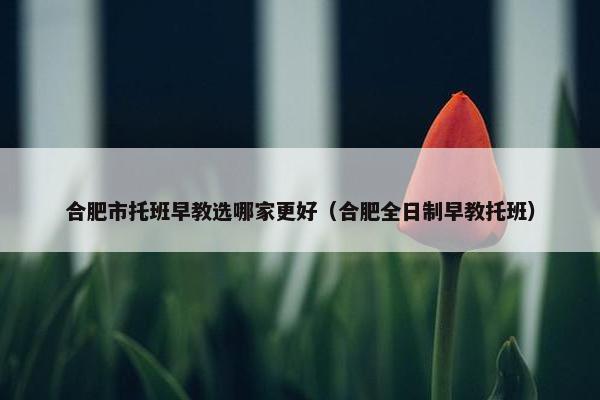 合肥市托班早教选哪家更好（合肥全日制早教托班）