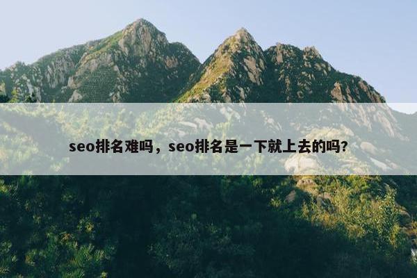 seo排名难吗，seo排名是一下就上去的吗?