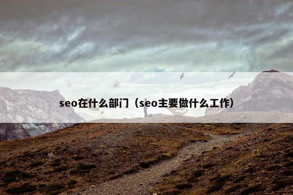 seo在什么部门（seo主要做什么工作）