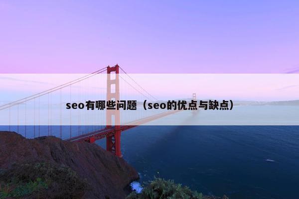 seo有哪些问题（seo的优点与缺点）