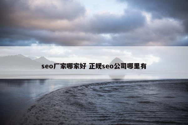 seo厂家哪家好 正规seo公司哪里有