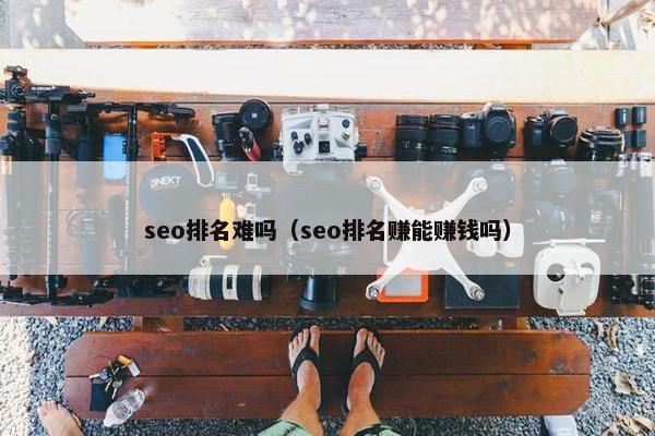 seo排名难吗（seo排名赚能赚钱吗）