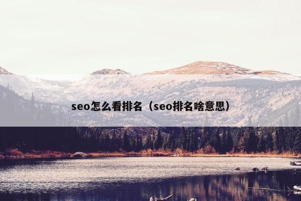 seo怎么看排名（seo排名啥意思）