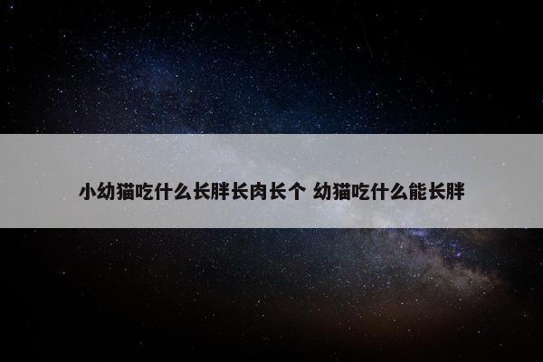 小幼猫吃什么长胖长肉长个 幼猫吃什么能长胖