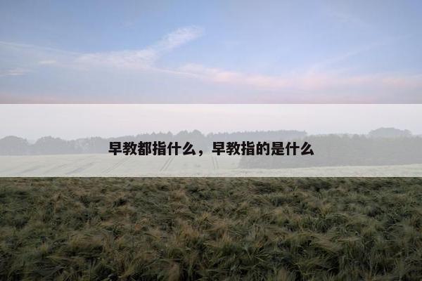 早教都指什么，早教指的是什么