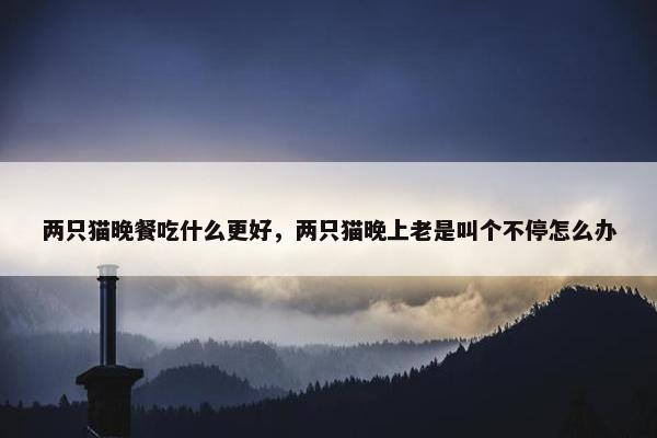 两只猫晚餐吃什么更好，两只猫晚上老是叫个不停怎么办