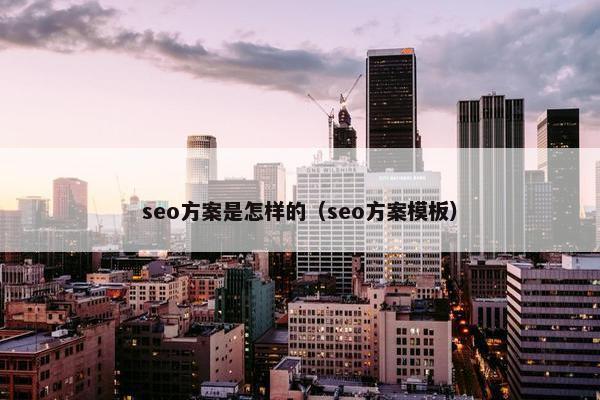 seo方案是怎样的（seo方案模板）