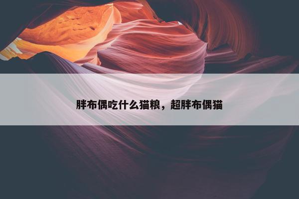 胖布偶吃什么猫粮，超胖布偶猫