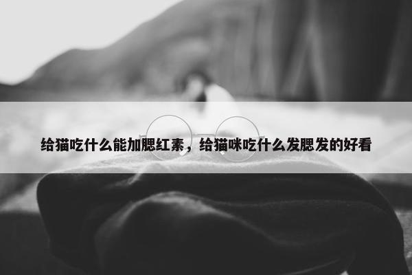 给猫吃什么能加腮红素，给猫咪吃什么发腮发的好看