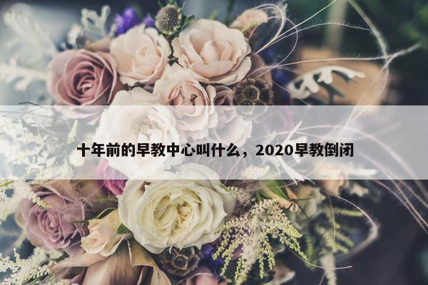 十年前的早教中心叫什么，2020早教倒闭