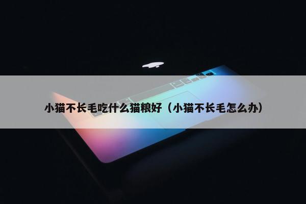 小猫不长毛吃什么猫粮好（小猫不长毛怎么办）