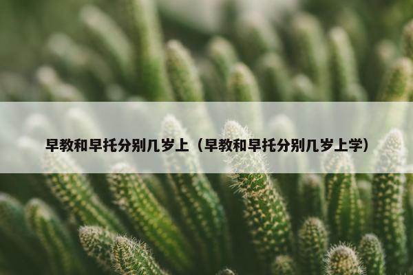 早教和早托分别几岁上（早教和早托分别几岁上学）