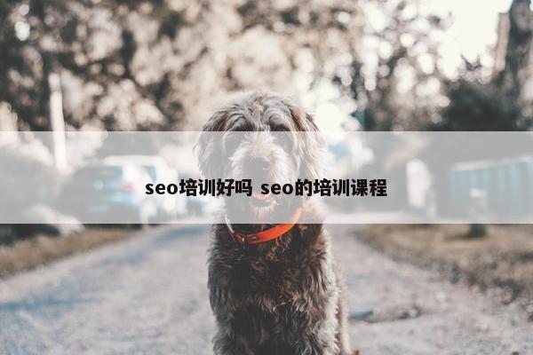 seo培训好吗 seo的培训课程