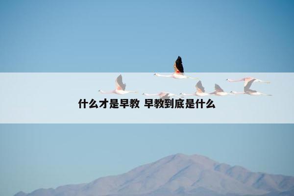 什么才是早教 早教到底是什么