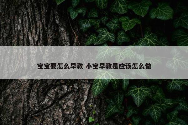 宝宝要怎么早教 小宝早教是应该怎么做