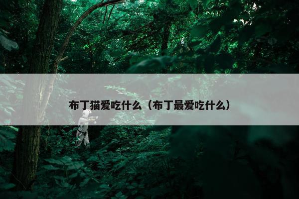 布丁猫爱吃什么（布丁最爱吃什么）