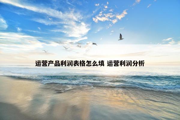 运营产品利润表格怎么填 运营利润分析