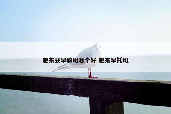 肥东县早教班哪个好 肥东早托班