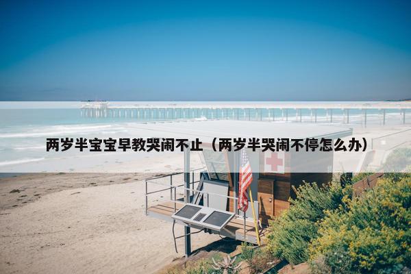 两岁半宝宝早教哭闹不止（两岁半哭闹不停怎么办）