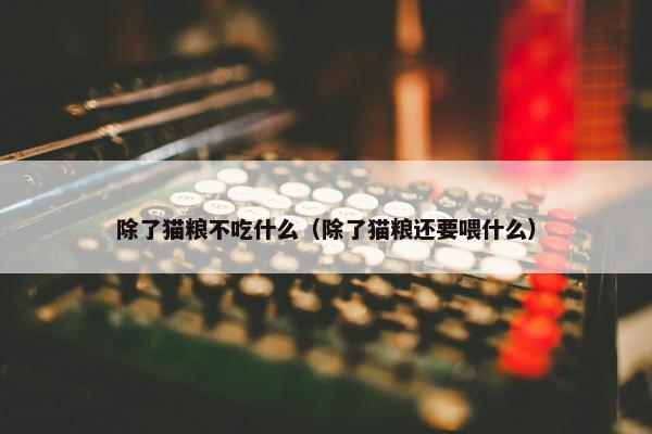 除了猫粮不吃什么（除了猫粮还要喂什么）