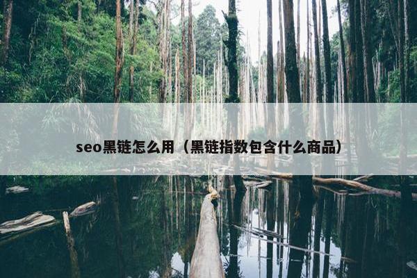 seo黑链怎么用（黑链指数包含什么商品）