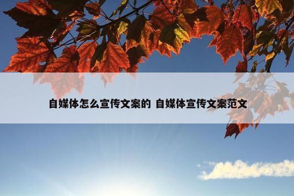 自媒体怎么宣传文案的 自媒体宣传文案范文