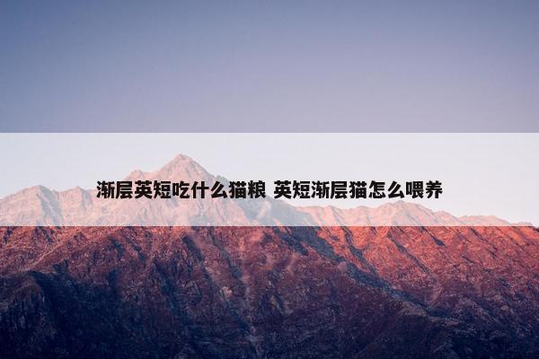 渐层英短吃什么猫粮 英短渐层猫怎么喂养