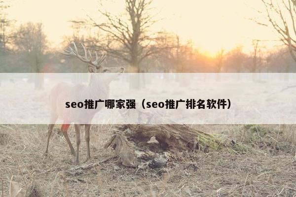 seo推广哪家强（seo推广排名软件）