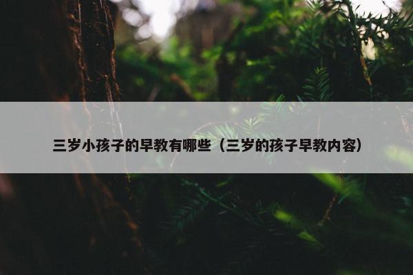 三岁小孩子的早教有哪些（三岁的孩子早教内容）