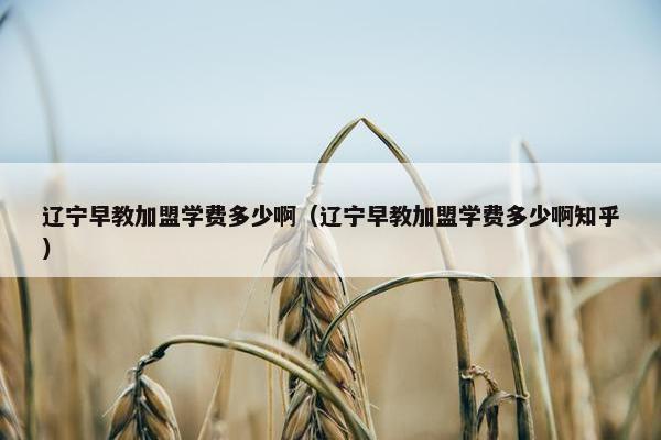 辽宁早教加盟学费多少啊（辽宁早教加盟学费多少啊知乎）