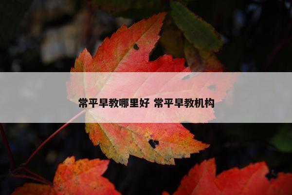 常平早教哪里好 常平早教机构