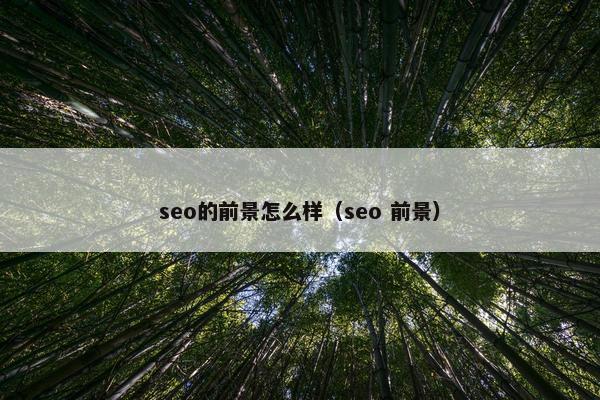 seo的前景怎么样（seo 前景）