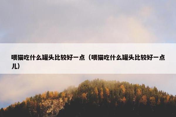 喂猫吃什么罐头比较好一点（喂猫吃什么罐头比较好一点儿）