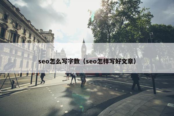 seo怎么写字数（seo怎样写好文章）