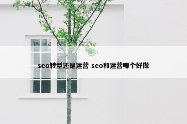 seo转型还是运营 seo和运营哪个好做