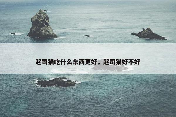 起司猫吃什么东西更好，起司猫好不好