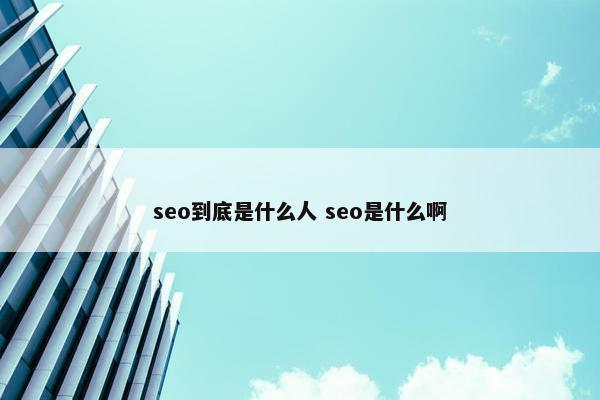 seo到底是什么人 seo是什么啊