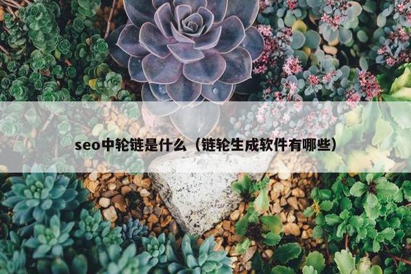 seo中轮链是什么（链轮生成软件有哪些）