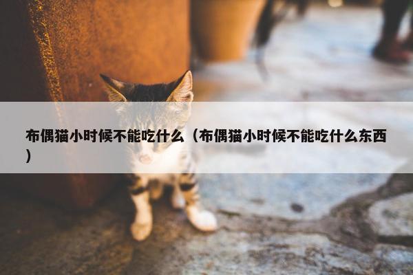 布偶猫小时候不能吃什么（布偶猫小时候不能吃什么东西）