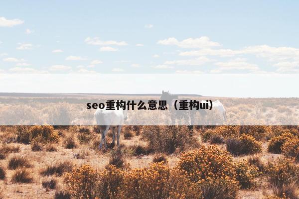 seo重构什么意思（重构ui）