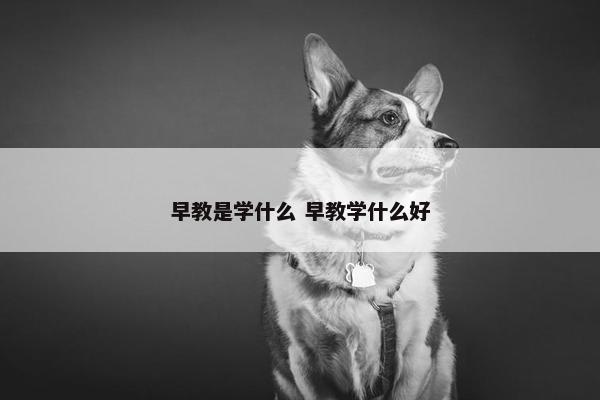 早教是学什么 早教学什么好