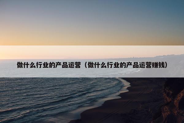 做什么行业的产品运营（做什么行业的产品运营赚钱）