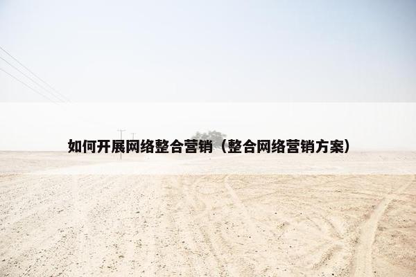 如何开展网络整合营销（整合网络营销方案）