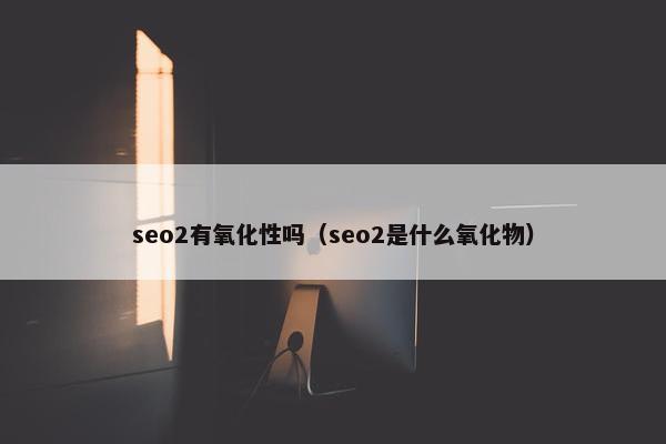 seo2有氧化性吗（seo2是什么氧化物）