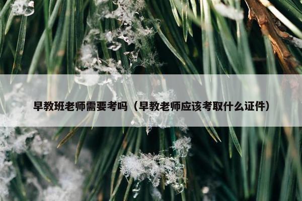 早教班老师需要考吗（早教老师应该考取什么证件）