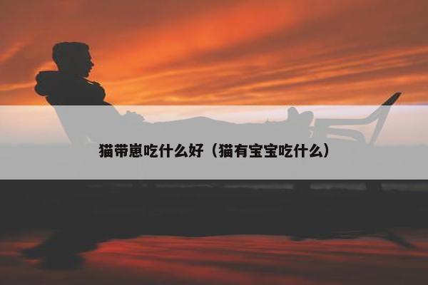 猫带崽吃什么好（猫有宝宝吃什么）