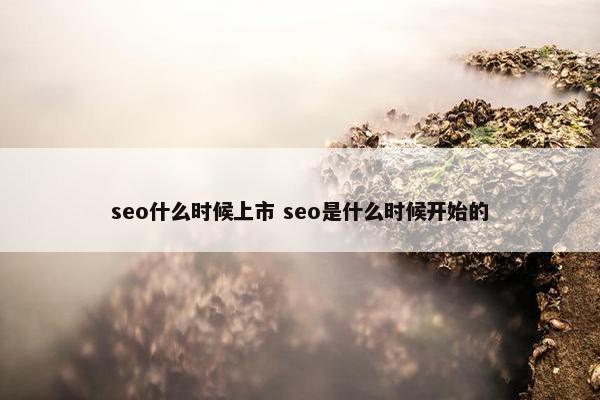 seo什么时候上市 seo是什么时候开始的