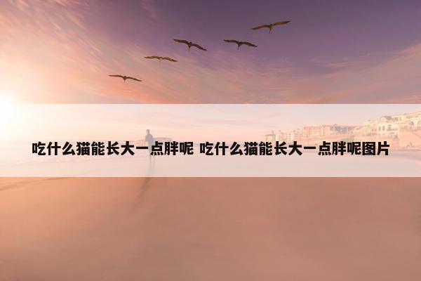 吃什么猫能长大一点胖呢 吃什么猫能长大一点胖呢图片