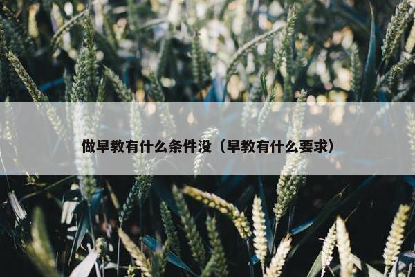 做早教有什么条件没（早教有什么要求）